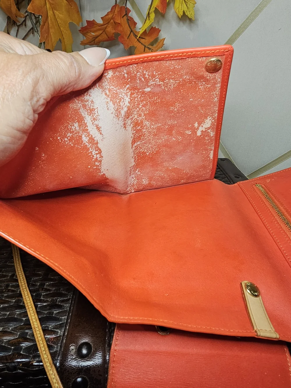 Louis Vuitton Monogram Vernis Walker Wallet